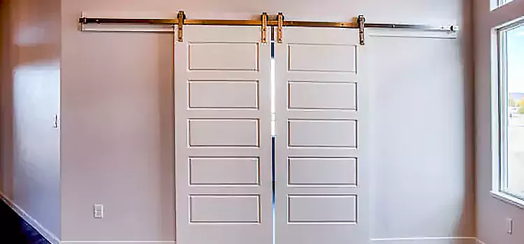 Glass Barn Door with Installation Hardware Kit Banning