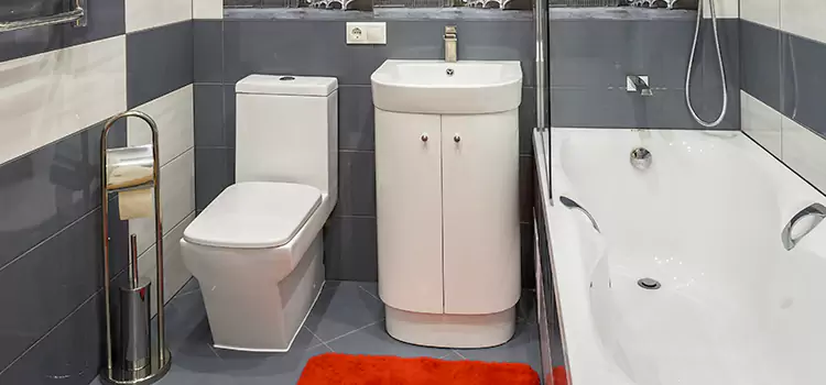 Hansgrohe Shaving Mirror Banning