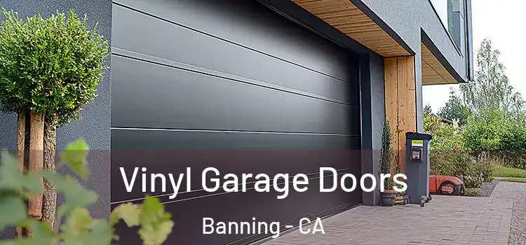  Vinyl Garage Doors Banning - CA